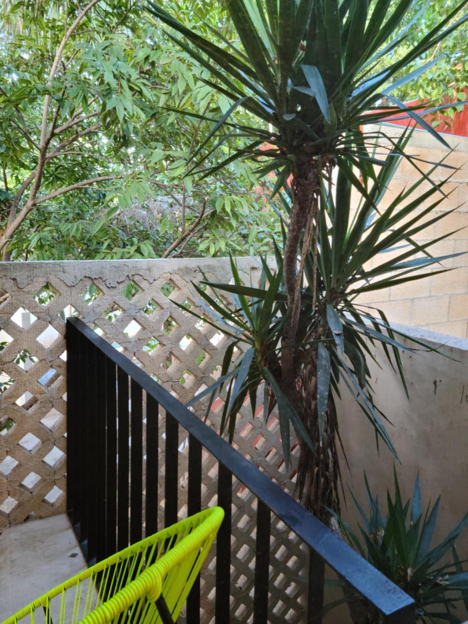 Casa Ramona Hotel Merida Luaran gambar